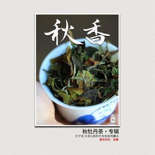 方守龙 秋香白牡丹全集 金秋五彩福鼎老白茶[官方旗舰店正品直供] 商品图0
