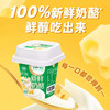 蒙牛新鲜奶酪原味|臻享奶酪血橙葡萄味180g 商品缩略图4