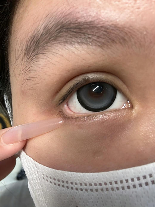 日抛 liliyacon 笨蛋比熊 14.5 着色14.1【6片装】 商品图2