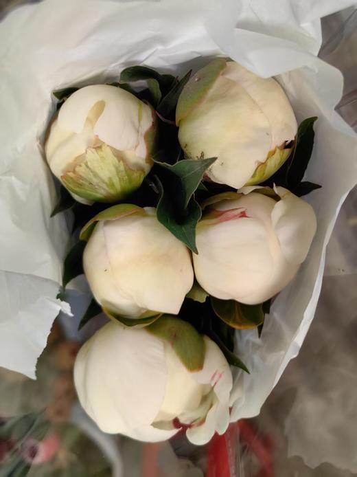 冰点芍药5支 商品图3