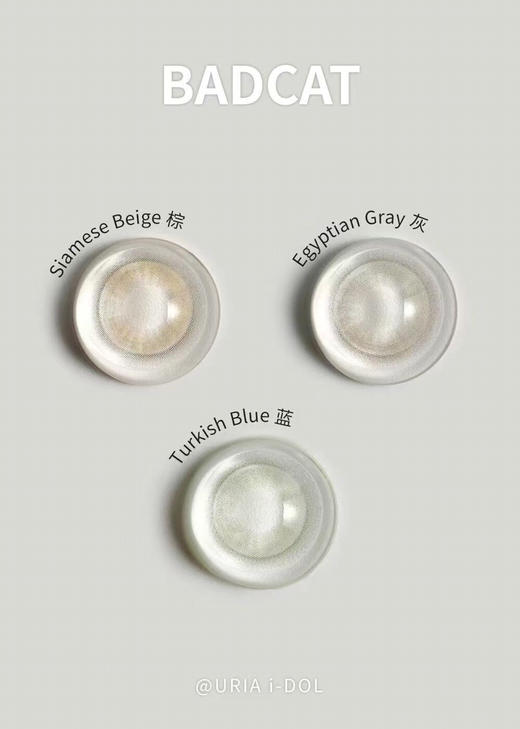 【新品】i-dol 埃及灰/暹罗棕/土耳其蓝 小直径丨混血几乎不增大【14.0年抛】 商品图0