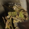 方守龙 春水白牡丹全集 连续9年春水 福鼎老白茶[官方旗舰店正品直供] 商品缩略图2