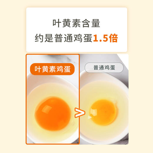 【神丹]】叶黄素鸡蛋50g*30枚/盒装 商品图3