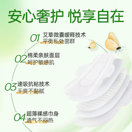 【2包装】恩芝韩国进口艾草微囊日用卫生巾抑菌透气舒适姨妈巾 250mm*10片/包 商品图3