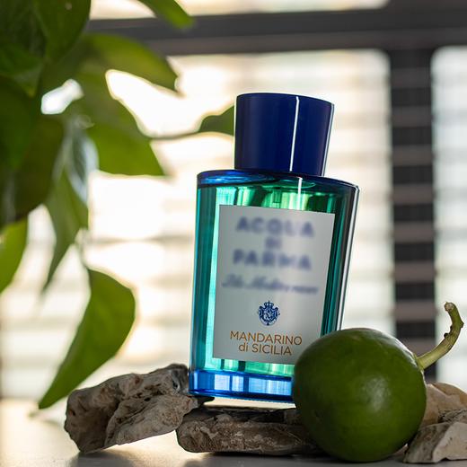 ADP 蓝色地中海-西西里岛青橘 Acqua di Parma Blu Mediterraneo - Mandarino di Sicilia 分装 商品图5