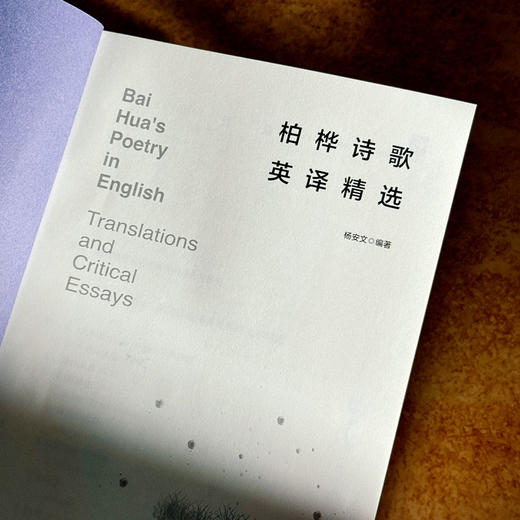 柏桦诗歌英译精选 杨安文 中国当代诗歌 汉英对照 六点图书 商品图5