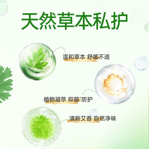 【2包装】恩芝韩国进口艾草微囊日用卫生巾抑菌透气舒适姨妈巾 250mm*10片/包 商品图5