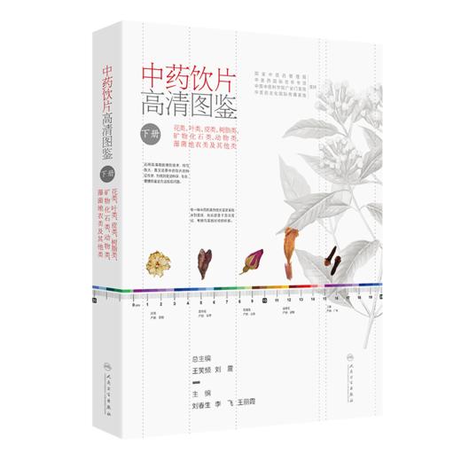 全3册 中药饮片高清图鉴 上册+中册+下册 3本套装 刘春生 李飞 王丽霞 包含果实种子及全草类中药饮片充分展现197种果实种子等 商品图4