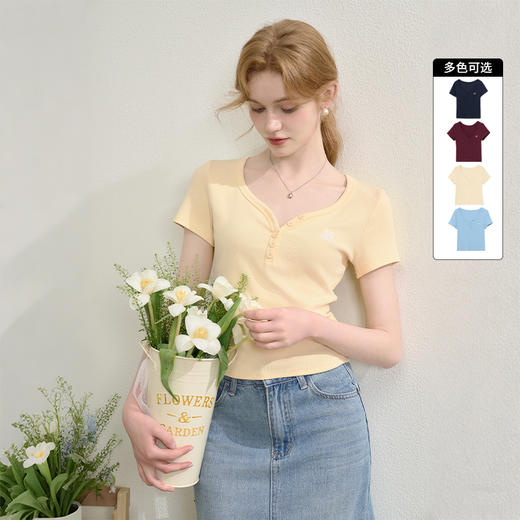 【限时秒杀】法式复古刺绣正肩大领口短袖T恤女夏季弹力修身短款上衣V0050353 商品图0