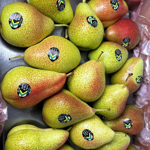 🇿🇦南非彩虹啤梨🍐肉质细嫩、脆甜喷香，入口香甜  带皮吃都不觉得涩 商品图2