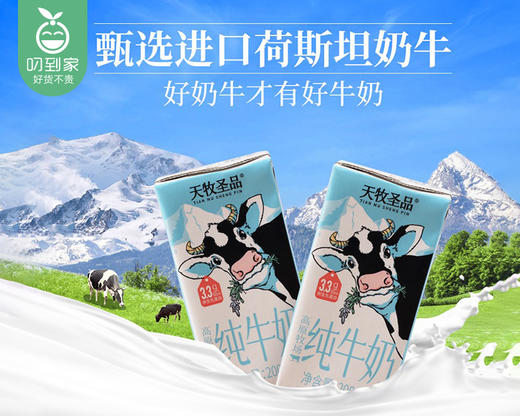 【到手4箱】天牧圣品纯牛奶*3箱（200ml*10盒/箱）另赠同款1箱生产日期: 11月13日 商品图1