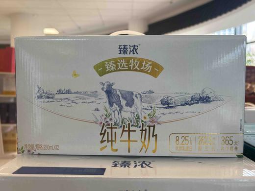 2025伊利臻浓甄选牧场纯牛奶250ml*12 商品图0