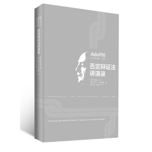 否定辩证法讲演录 商品图2