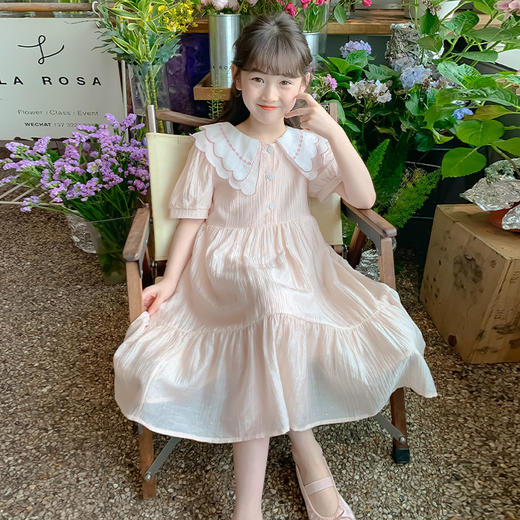 ZHX999-24&YTTX-Z6480女童翻领连衣裙夏季新款中大童韩版洋气公主裙薄款童裙 商品图3