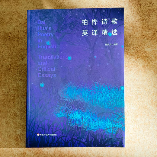 柏桦诗歌英译精选 杨安文 中国当代诗歌 汉英对照 六点图书 商品图1