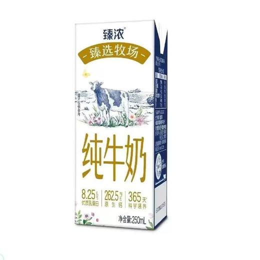【2提十堰主城区包邮】伊利臻浓臻选牧场纯牛奶 250ml*12盒/提（保质期到2025年8月18日，介意勿拍） 商品图1