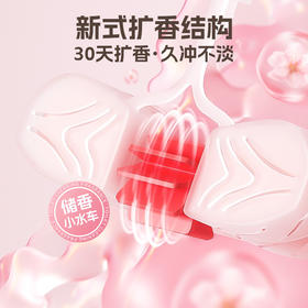 椰放马桶清洁香氛挂篮55g/挂