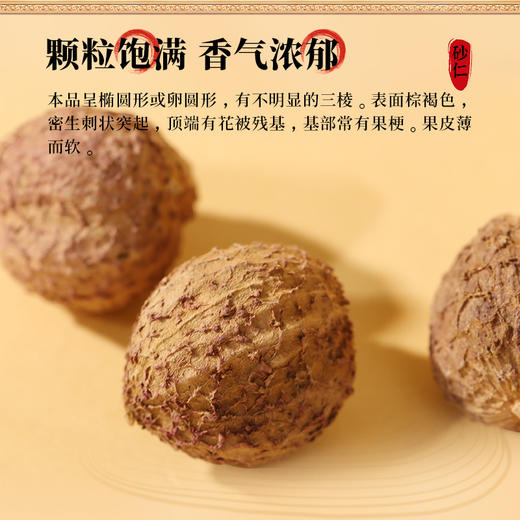 康美药业砂仁100g/瓶 药食同源康美中药饮片罐装中药材 商品图2