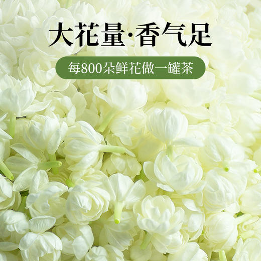 贝叶集茉莉花茶冷泡茶川派茉莉飘雪绿茶浓香型茶叶自己喝官方正品 商品图2