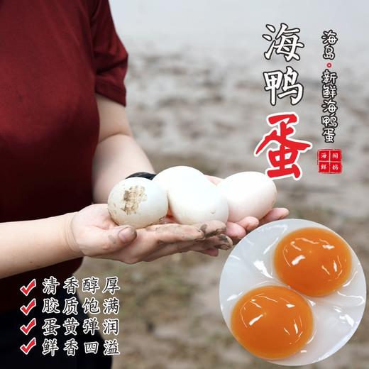 【闹妈甄选】舟山新鲜海鸭蛋/放养海鸭/个大蛋鲜20枚/组 单独发货 商品图0