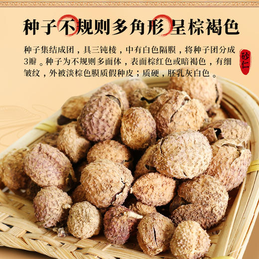 康美药业砂仁100g/瓶 药食同源康美中药饮片罐装中药材 商品图4