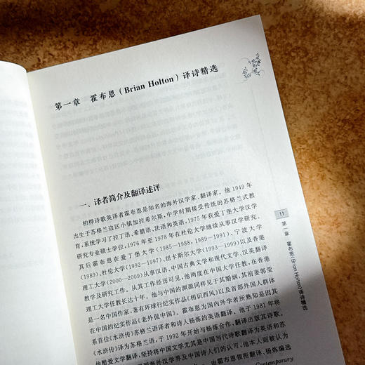 柏桦诗歌英译精选 杨安文 中国当代诗歌 汉英对照 六点图书 商品图7