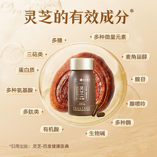 【全灵芝孢子粉胶囊】全部精华 每日2次 每次2颗 商品图1