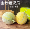 新疆金纹老汉双拼蜜瓜新疆吐鲁番基地现摘现发 商品缩略图1