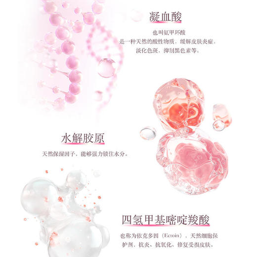 【预售3-5天】赫铂之泪/HeBetear赫铂之泪双层水光蛋白抗皱精华油30ml/瓶【D类】[特价品] 商品图3