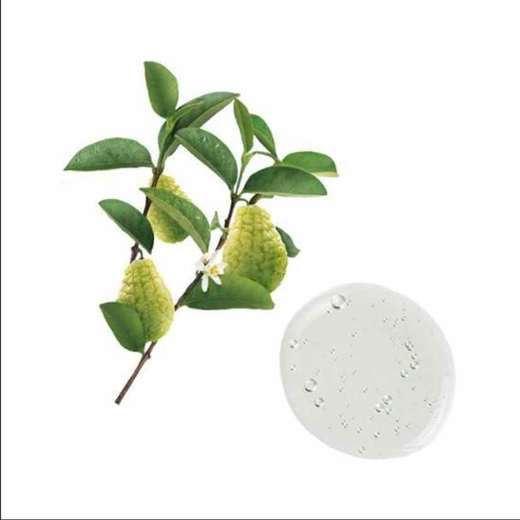 【保税仓】klorane康如柑橘洗发水400ml 商品图2