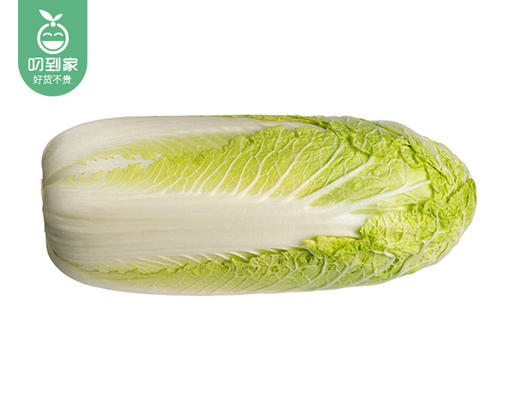 【叼鲜蔬】云南有机娃娃菜/1份（约400g） 商品图2