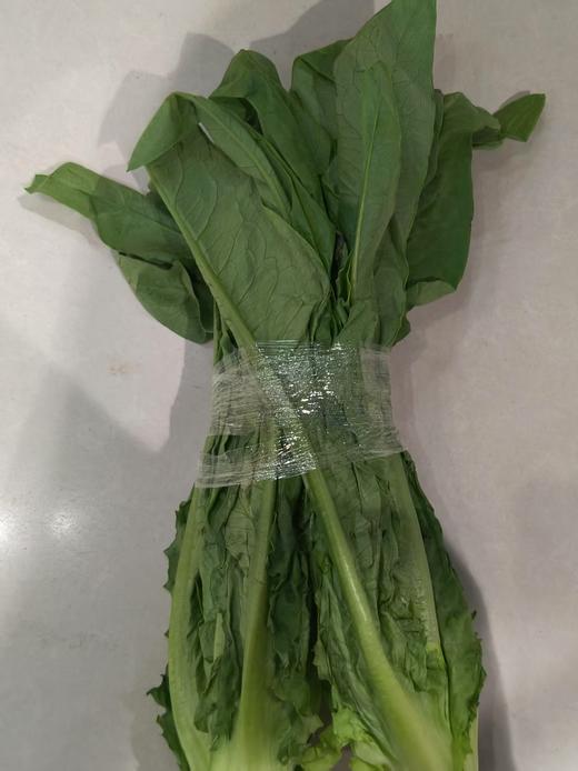 油麦菜 商品图0