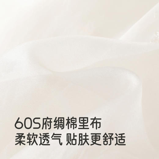 【商场同款】英氏女童网纱连衣裙2025新款长袖洋气绣花公主裙童装 商品图3