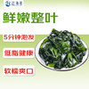 赶海弟 裙带菜255g 盐渍鲜嫩大叶片泡发快 海白菜 虾皮汤凉拌菜火锅食材 /粮油调味 /南北干货 /鱼虾贝藻类干货 商品缩略图5