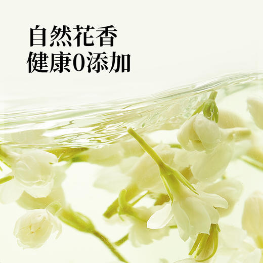 贝叶集茉莉花茶冷泡茶川派茉莉飘雪绿茶浓香型茶叶自己喝官方正品 商品图1