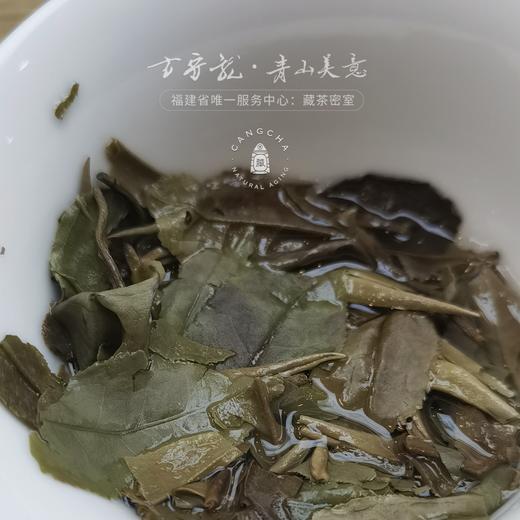 方守龙 春水白牡丹全集 连续9年春水 福鼎老白茶[官方旗舰店正品直供] 商品图3