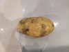 土豆 商品缩略图0