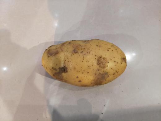 土豆 商品图0