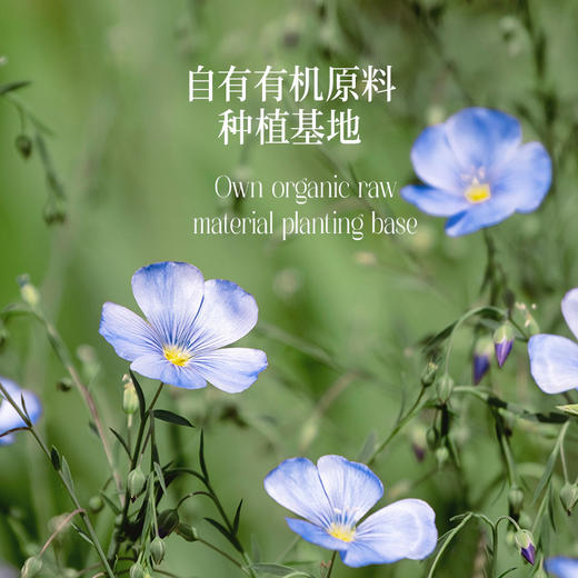 【2瓶减8 4瓶减24】【四国有机认证 亚麻籽油】对比了一年的功课 一级 全棕瓶闭光  适合凉拌菜 湖州仓~ 商品图8