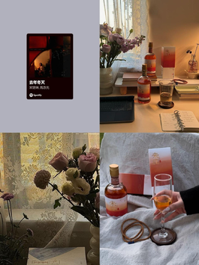 居家Plog｜I人积攒能量的方法