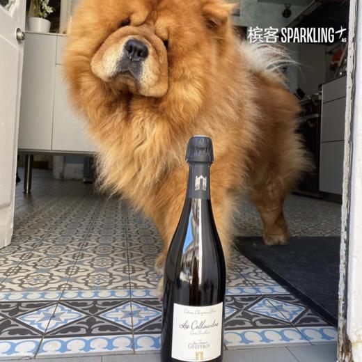 香槟区静态干白 · Geoffroy Coteaux Champenois  Blanc "Collinardins" 2020 酒福华静态干白葡萄酒 2020 商品图1