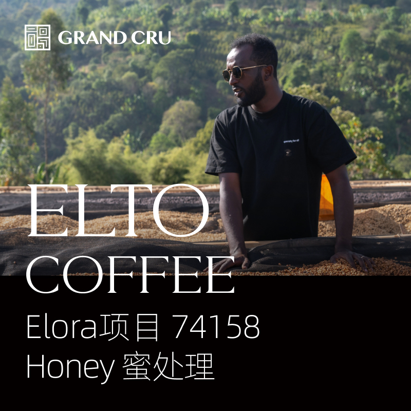 2025新产季空运批次｜埃塞Elto咖啡 Elora项目｜Elora Honey蜜处理