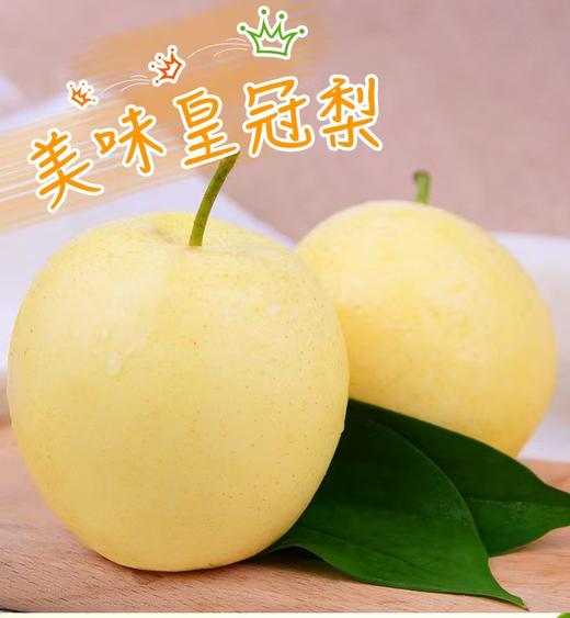 皇冠梨 商品图0