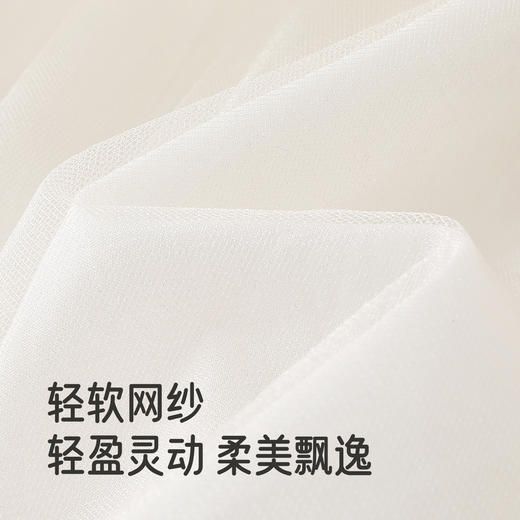 【商场同款】英氏女童网纱连衣裙2025新款长袖洋气绣花公主裙童装 商品图1