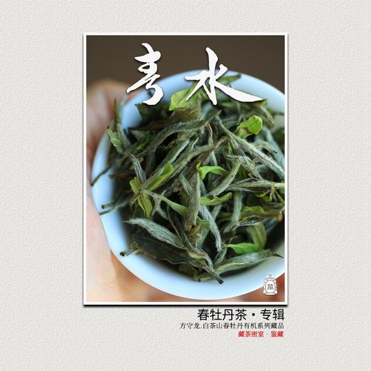 方守龙 春水白牡丹全集 连续9年春水 福鼎老白茶[官方旗舰店正品直供] 商品图0