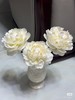 冰点芍药5支 商品缩略图9