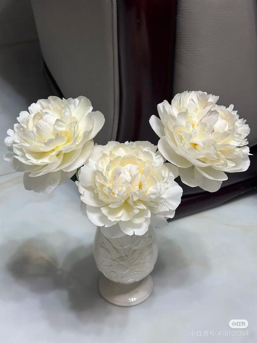 冰点芍药5支 商品图9