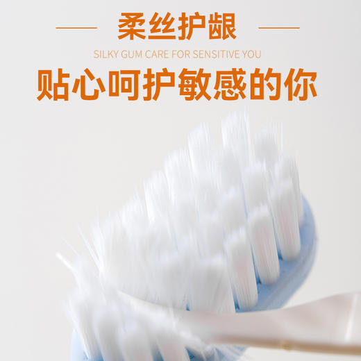 牙博士牙刷幻海护龈六支单面   WY 商品图2