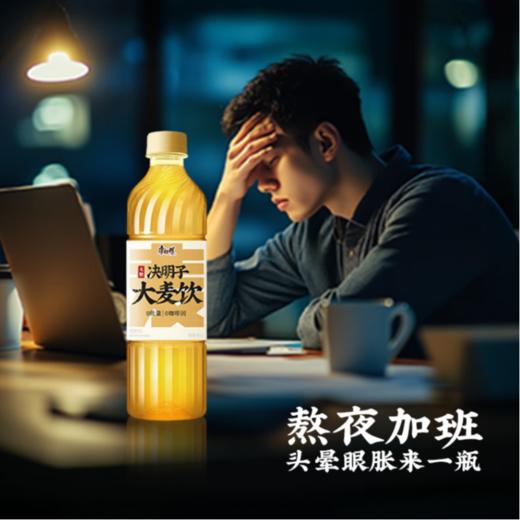 康师傅决明子大麦饮500ml/瓶 商品图5