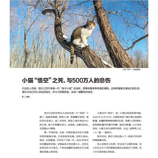 南风窗2025年12期：女士，赛先生·燃（含小猫悟空长报道） 商品图1